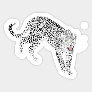 Stylish Black & Pink Leopard Animal White Design Sticker